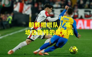 朝鲜啦啦队：赛场边独特的风景线