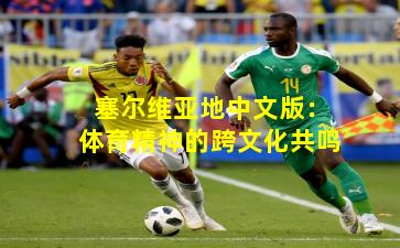 塞尔维亚地中文版：体育精神的跨文化共鸣