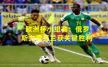 欧洲杯小组赛：俄罗斯力克芬兰获关键胜利