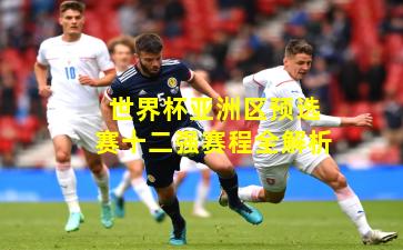 世界杯亚洲区预选赛十二强赛程全解析