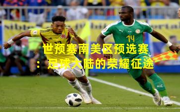 世预赛南美区预选赛：足球大陆的荣耀征途