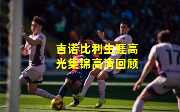 吉诺比利生涯高光集锦高清回顾