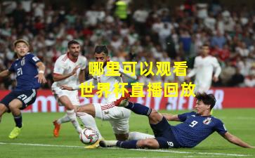 哪里可以观看世界杯直播回放
