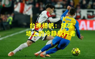 台球杨帆:绿茵场上的冷静航行者